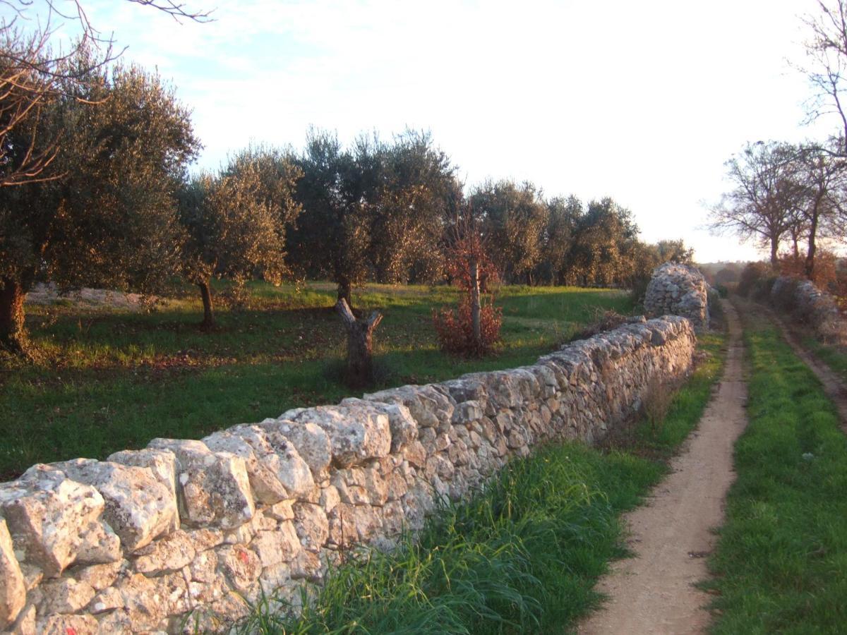 Trullitria Rooms Alberobello Bagian luar foto